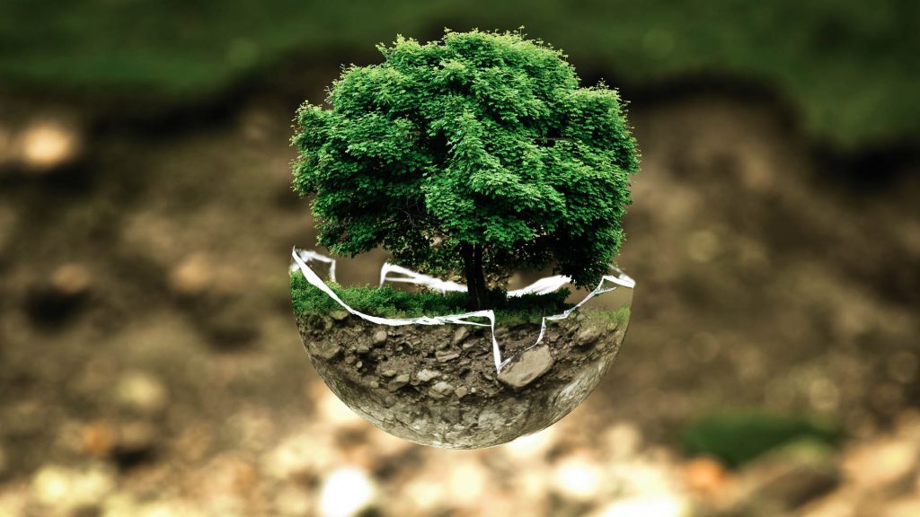 Not-for-Profit Organizations