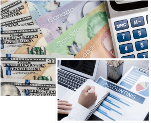 Accounting and Financial Consulting Firm in Toronto