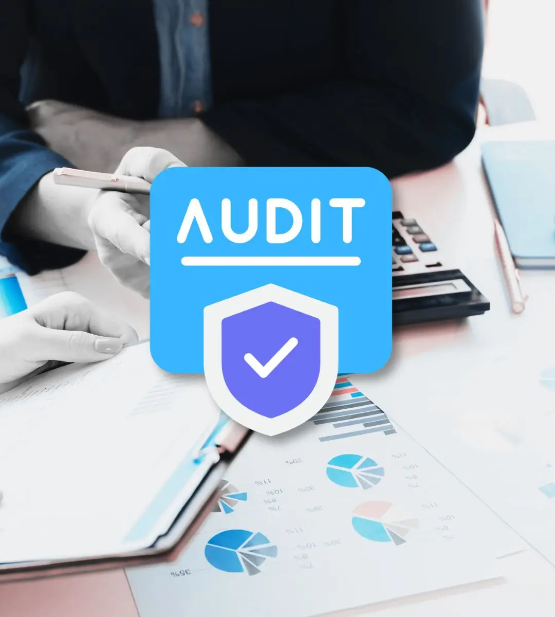 Audit Protection Plan (APP)